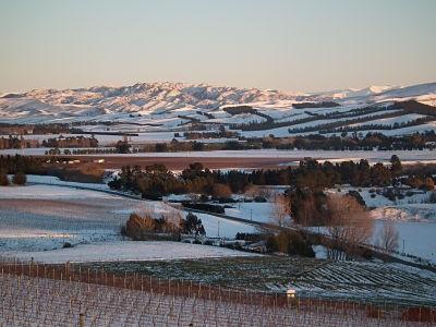 winter in the vineyard at Fancrest Estate