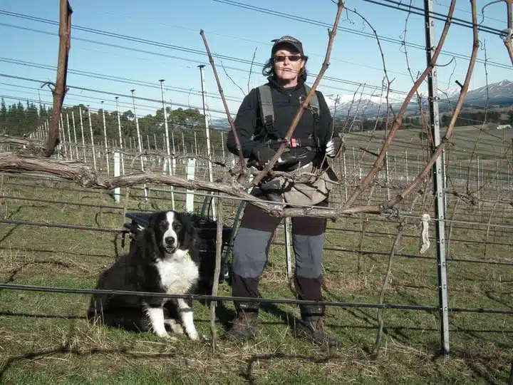 Di Holding pruning the vineyard with Panda, her first Border Collie.