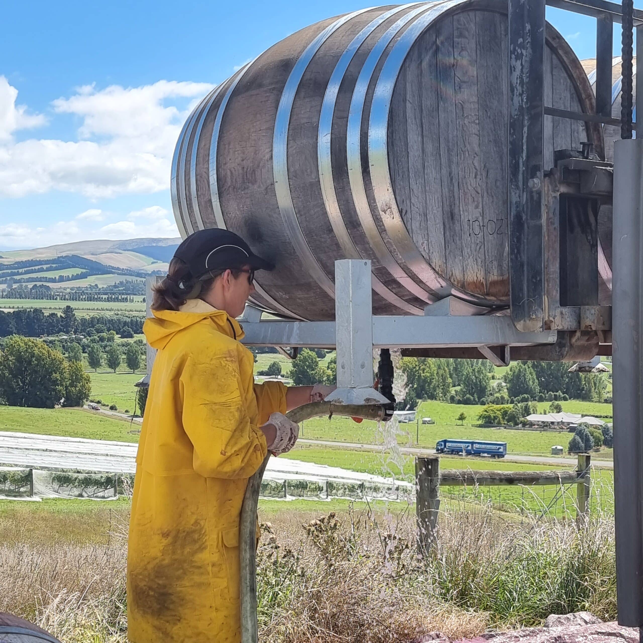 Di Holding maintaining barrels between vintages