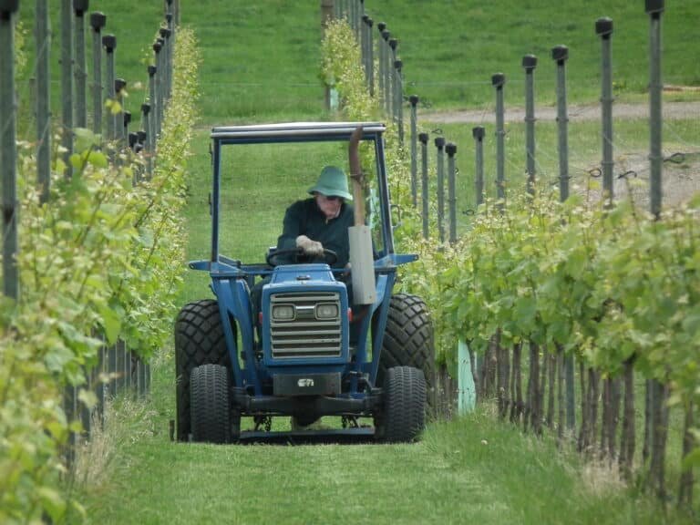 Di's dad mowing