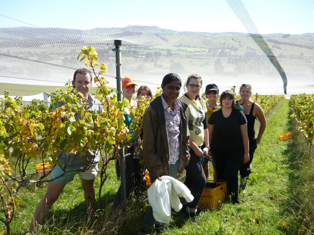 An awesome team of Lincoln University students helping with harvest