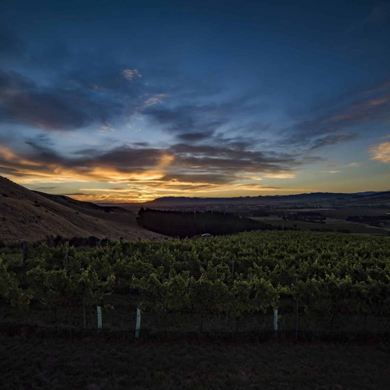 The crest of the vineyard at Fancrest Estate offers some of the most spectacular views over the Waipara Valley.